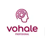 Vohale Profesional WhatsApp Channel