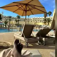 13 Weeks Travel Channel WhatsApp Channel