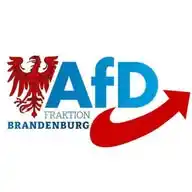 AfD-Fraktion Brandenburg WhatsApp Channel