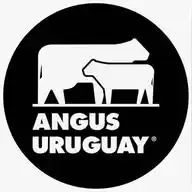 Angus Uruguay WhatsApp Channel