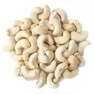 Cashew hub  WhatsApp Channel