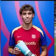 João Félix fan account(joaofelixismo) WhatsApp Channel