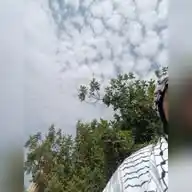 •𝒋𝒖𝒔𝒕 𝒇𝒐𝒓 𝒎𝒆⇐✨💎 WhatsApp Channel