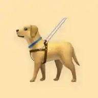 Kay.dogs.Care WhatsApp Channel