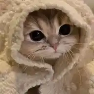 kinds of stickers🪄 WhatsApp Channel