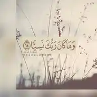 قناة إبراهيم بخاري WhatsApp Channel