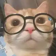 michito que hace au's WhatsApp Channel