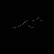 n ⭑ twenty WhatsApp Channel
