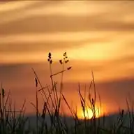 نافذة خير WhatsApp Channel