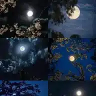 𝑶𝒏𝒍𝒊𝒏𝒆 𝑩𝒖𝒔𝒊𝒏𝒆𝒔𝒔 𝑾𝒊𝒕𝒉 𝑲𝒉𝒂𝒏💫 WhatsApp Channel