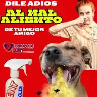 PERROPOLIS PLANET SERVICIOS PARA MASCOTAS WhatsApp Channel