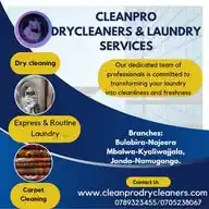 The DryCleaner 256 WhatsApp Channel