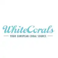 Whitecorals.com WhatsApp Channel