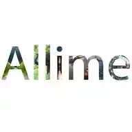 Allime Tech Solutions WhatsApp Channel
