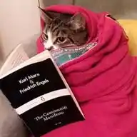 Buddy Bookreads 📖✨ WhatsApp Channel