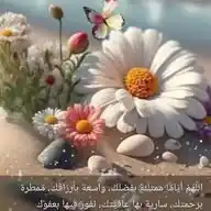 دٍرهّ💞 WhatsApp Channel