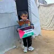 Filistin Çalışma Grubu WhatsApp Channel