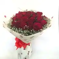 FLORA LUX WhatsApp Channel