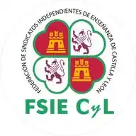 FSIE CyL WhatsApp Channel