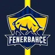 Genç Fenerbahçeliler WhatsApp Channel