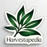 Harvestapedia WhatsApp Channel