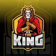 King_gamer WhatsApp Channel