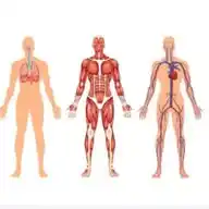 Medicina - Daniel Rolla WhatsApp Channel