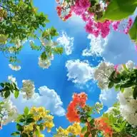 Official Natural 🌱 Photo's WhatsApp Channel