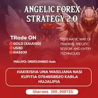 Premium Capitals WhatsApp Channel