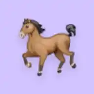 رشيق البداوة WhatsApp Channel