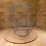 SalomonDiCervo WhatsApp Channel