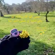 صنيعة جدتي WhatsApp Channel