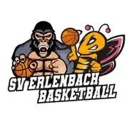 SV ERLENBACH BASKETBALL WhatsApp Channel