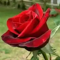 Venta De Todo Un Poquito By Michelle Avilés WhatsApp Channel