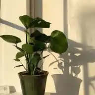 أدعية وأذكار 🌿 WhatsApp Channel