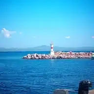 AYÇA OĞUŞ \\ DHAMADA WhatsApp Channel