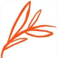 Clean Beauty WhatsApp Channel