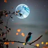 د خیال ترجمان شاعر محمود غزنیوال WhatsApp Channel