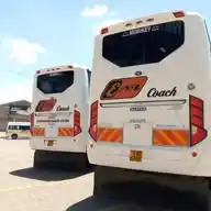 Ena Coach WhatsApp Channel