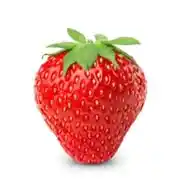 🍓 Fresa 🍓 WhatsApp Channel