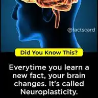 Fun facts WhatsApp Channel