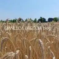 Gianluca Brescia blog WhatsApp Channel