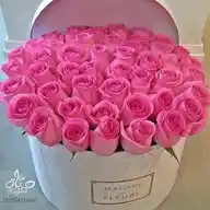 قناه تعارف WhatsApp Channel