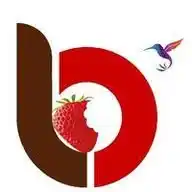 Lifeberrys Hindi WhatsApp Channel
