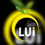 lueciga WhatsApp Channel