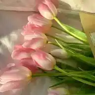 من رحيق الكلام 🪻🌿 WhatsApp Channel