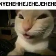 NYEHEHHEJEHEJEHEHE WhatsApp Channel