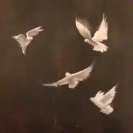 ثَـغـرْ الأَسـلُـمِـيـة. WhatsApp Channel
