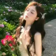 𓈒   ୭   Flores da Yaya  🌷   ꩃ     ᮬ WhatsApp Channel