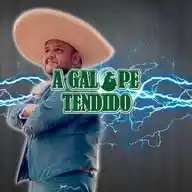 A Galope Tendido WhatsApp Channel